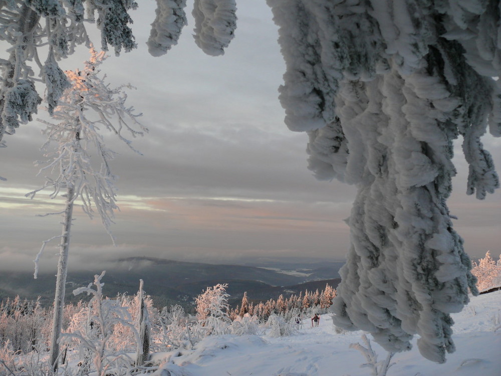 Großer Feldberg