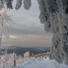 Großer Feldberg