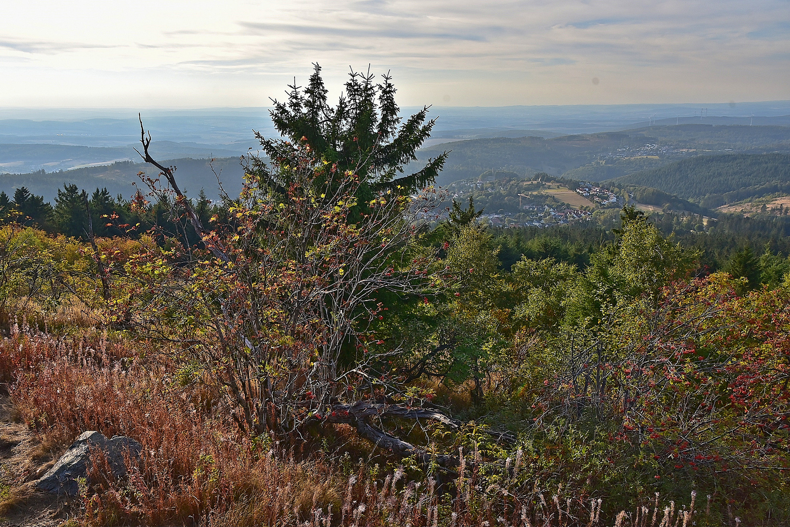 Großer Feldberg