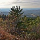 Großer Feldberg