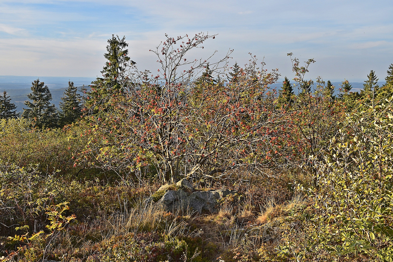 Großer Feldberg