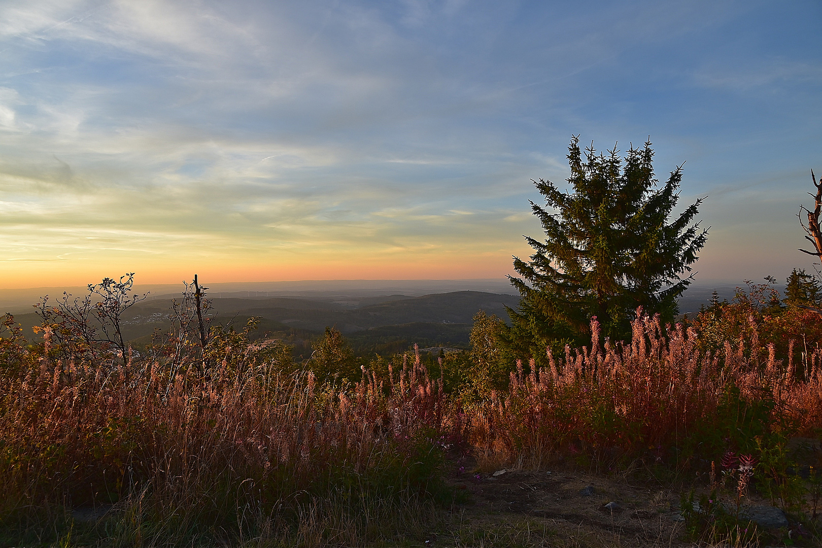 Großer Feldberg