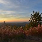 Großer Feldberg