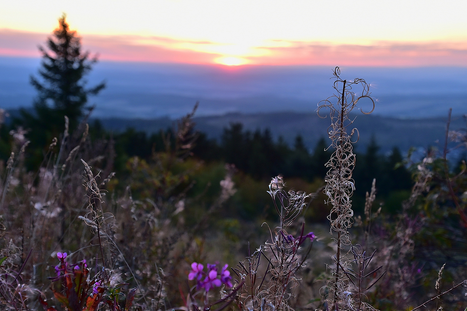 Großer Feldberg