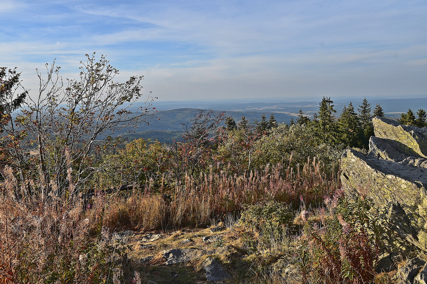 Großer Feldberg