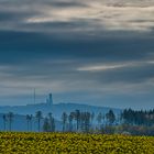 Großer Feldberg