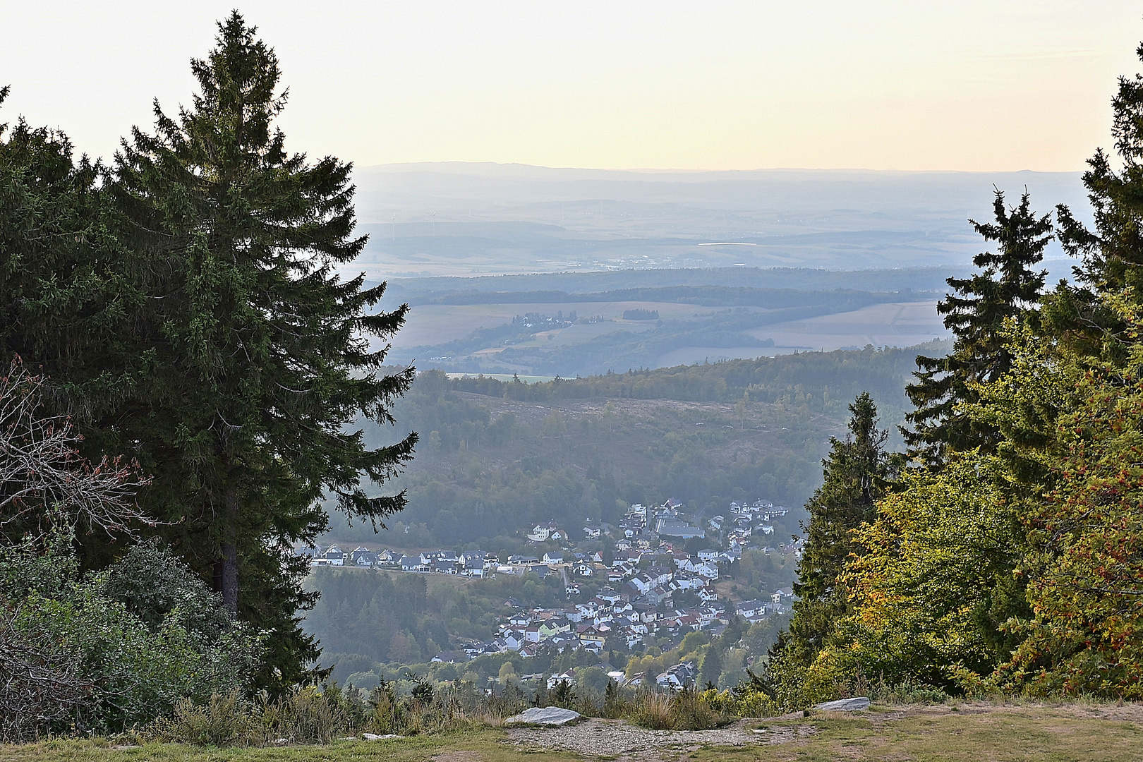 Großer Feldberg