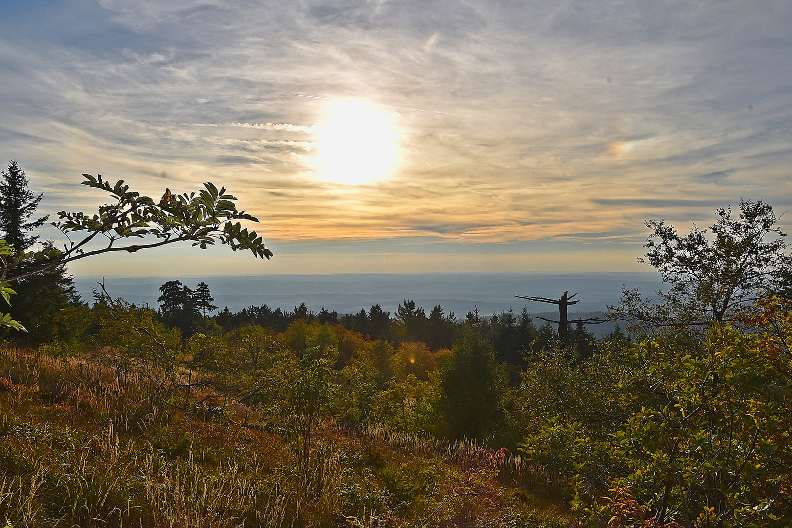 Großer Feldberg