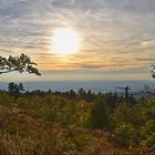 Großer Feldberg