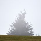 Großer Feldberg im Nebel