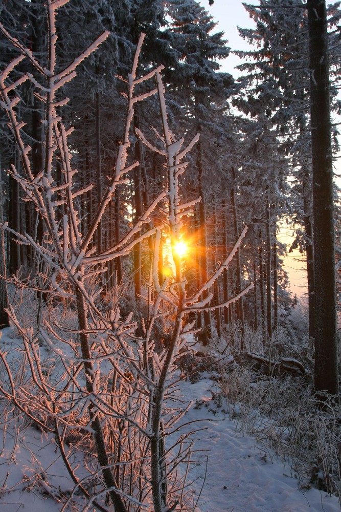 Großer Feldberg im Schnee