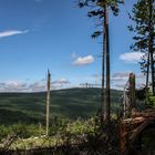 Großer Feldberg im Taunus