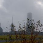 Großer Feldberg im Taunus Herbstspaziergang im Nebel