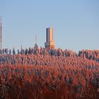 Großer Feldberg im Taunus im Wintersonnenuntergang