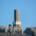 Großer Feldberg in Abendsonne