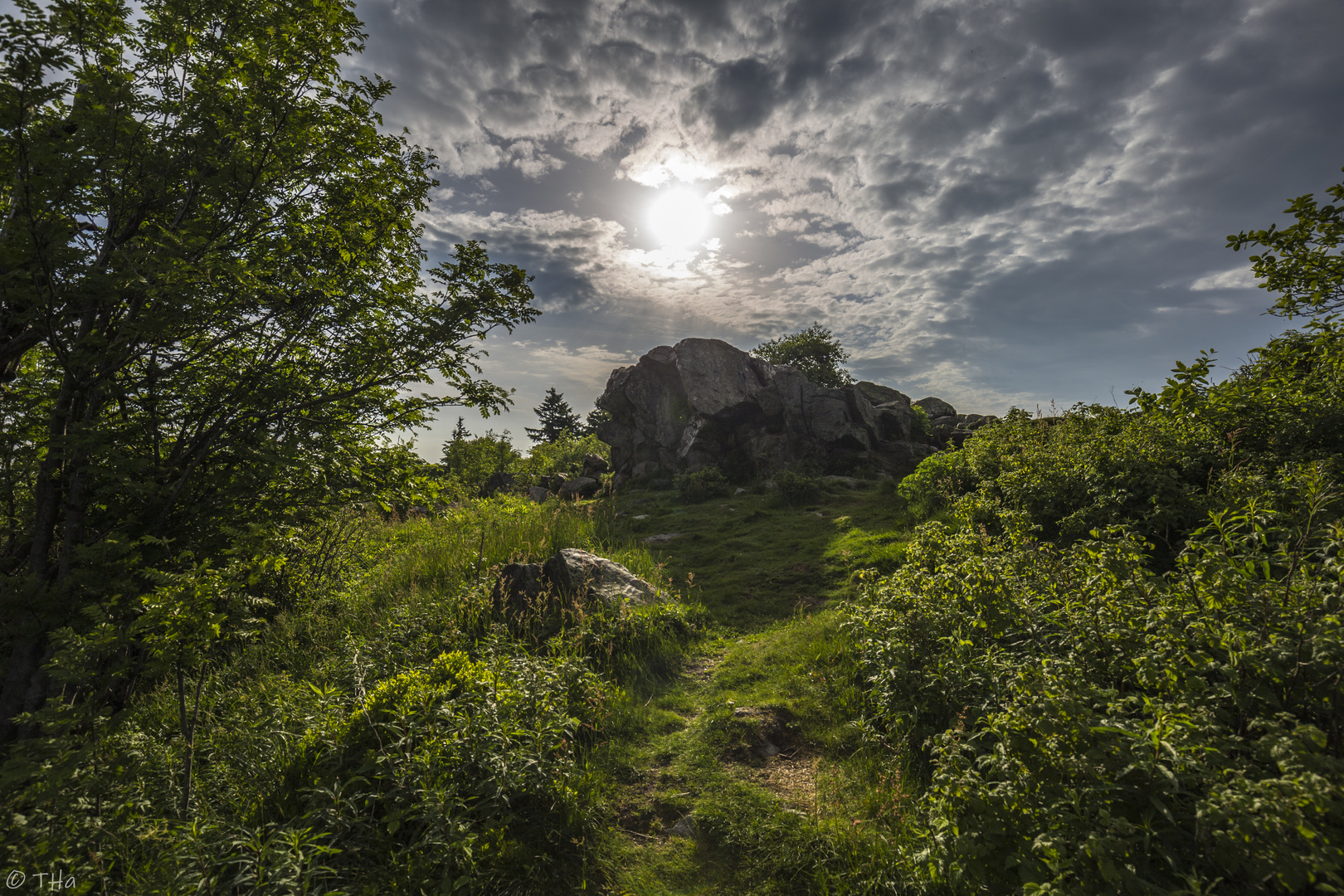 Großer Feldberg, Taunus | Brunhildisfelsen