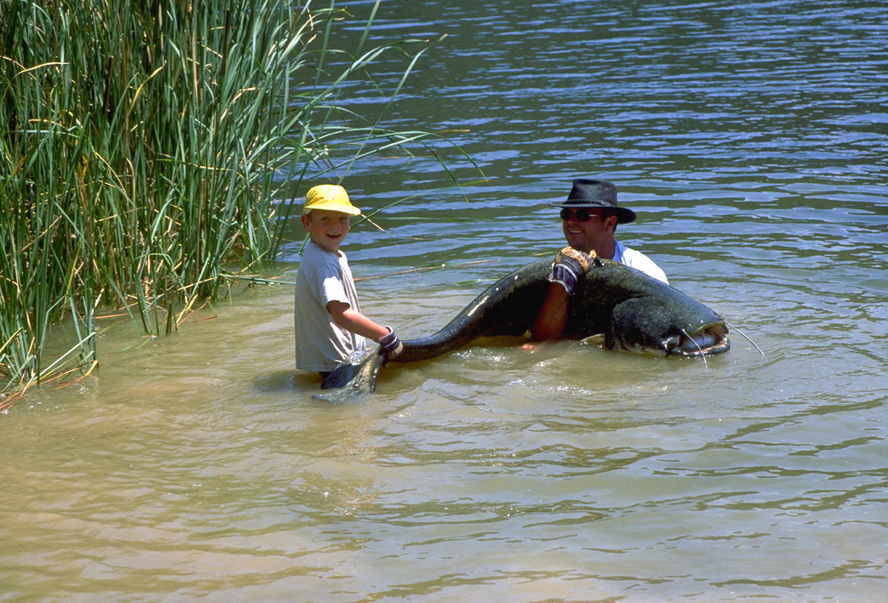 großer Fisch