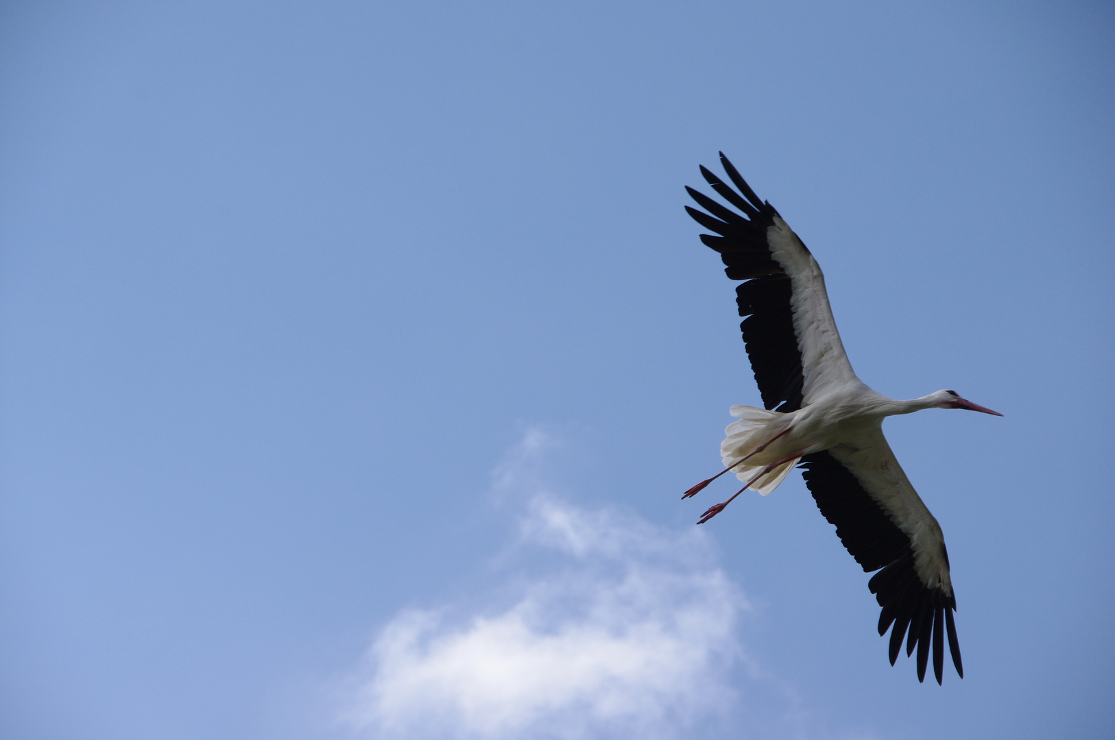 großer flieger