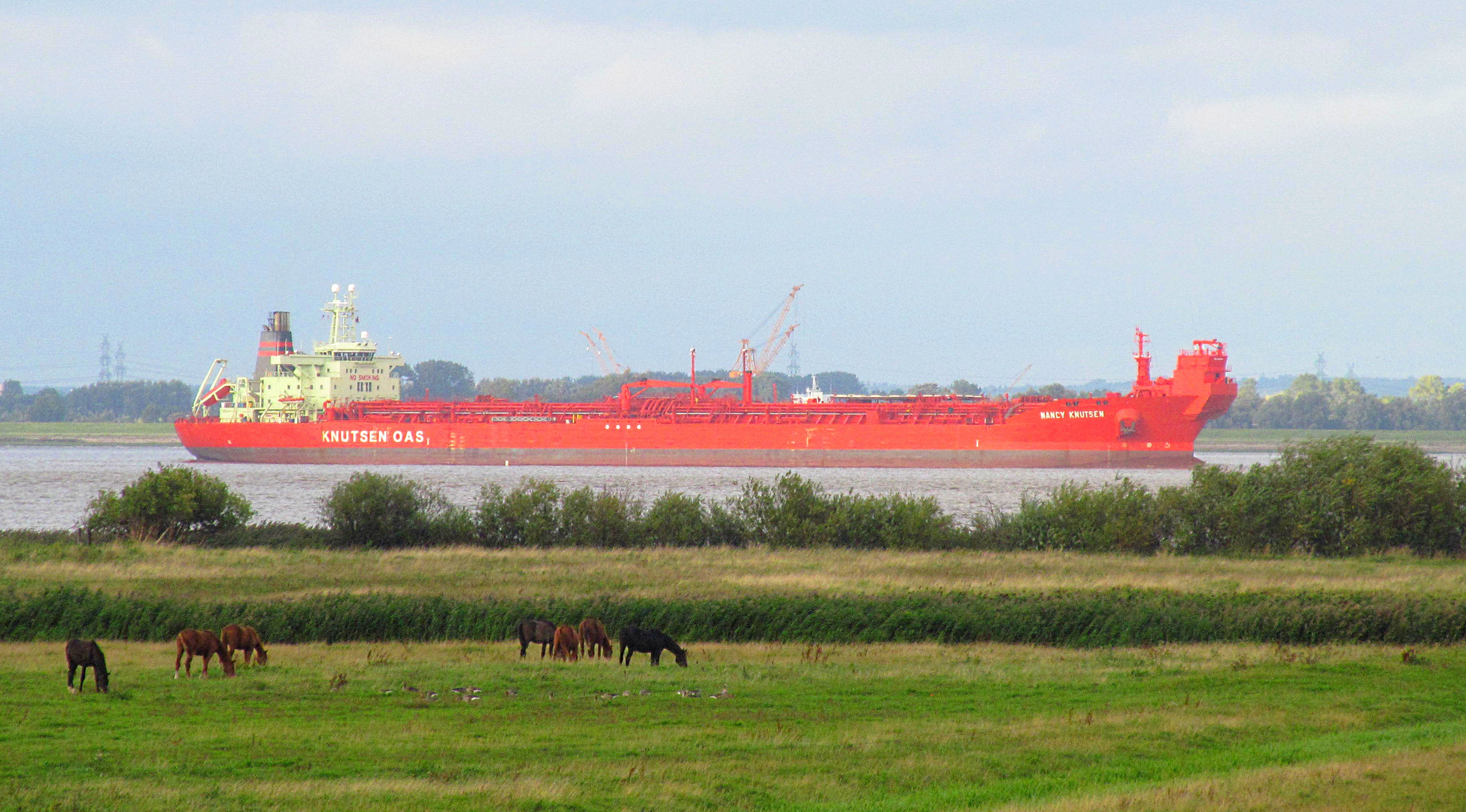 Großer Frachter auf der Elbe Richtung Hamburg