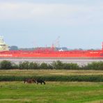 Großer Frachter auf der Elbe Richtung Hamburg