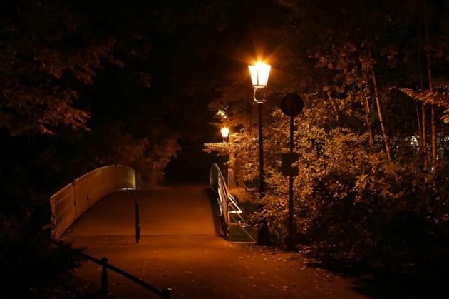 Großer Garten bei Nacht