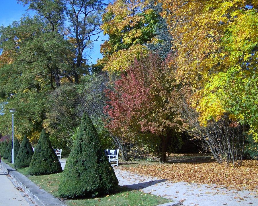 Großer Garten Dresden