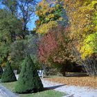 Großer Garten Dresden