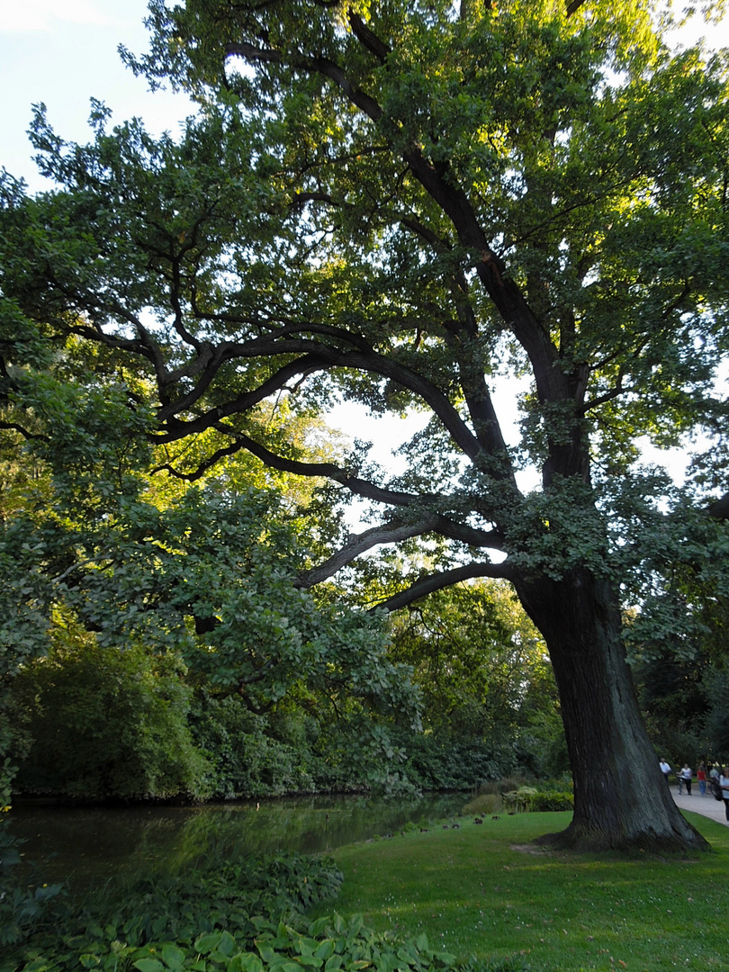 Großer Garten Dresden