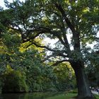 Großer Garten Dresden