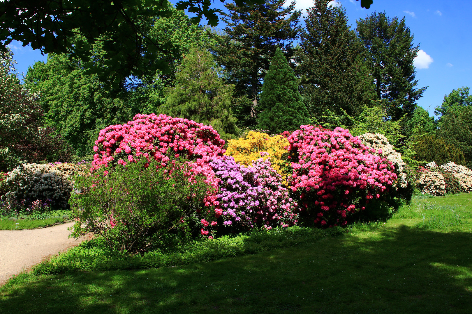 Großer Garten Dresden Foto & Bild landschaft, garten