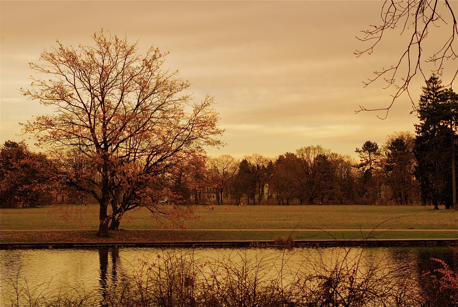 Großer Garten Dresden