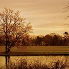 Großer Garten Dresden