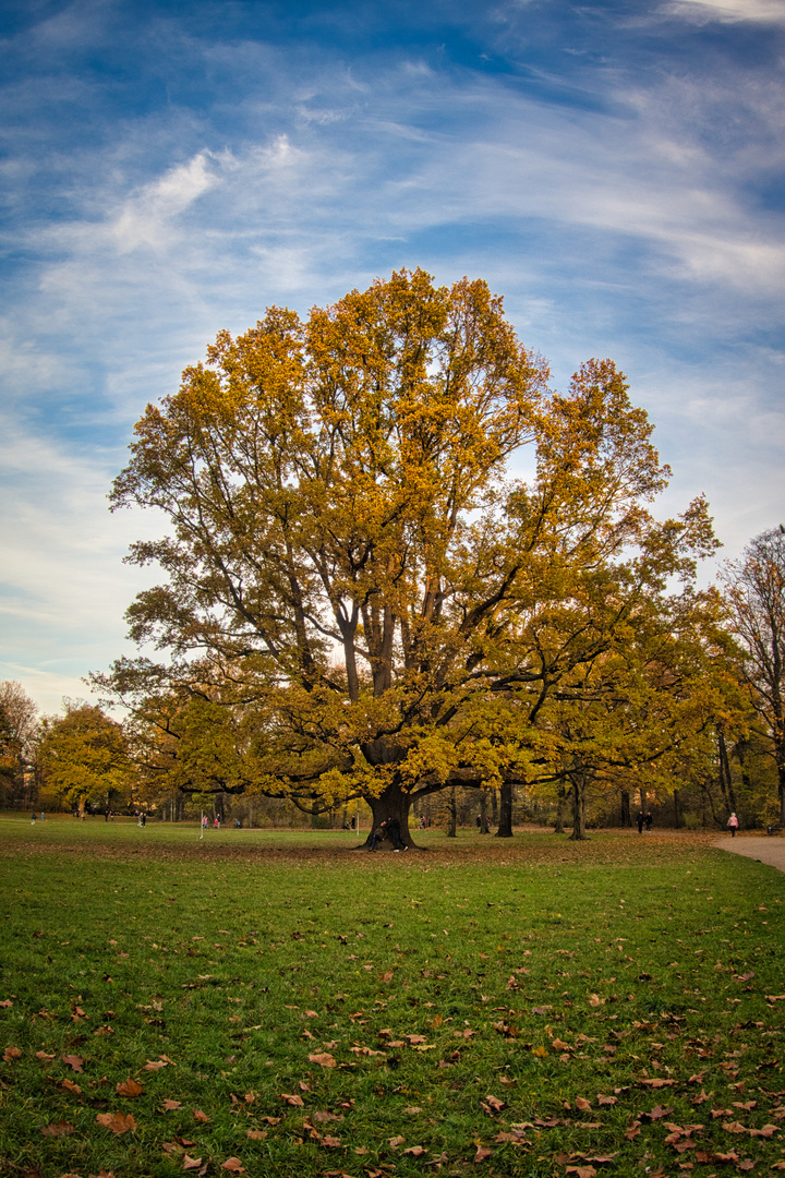 Großer Garten Dresden | Herbst