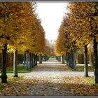 Großer Garten Herrenhausen.