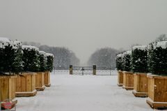 Großer Garten im Winter