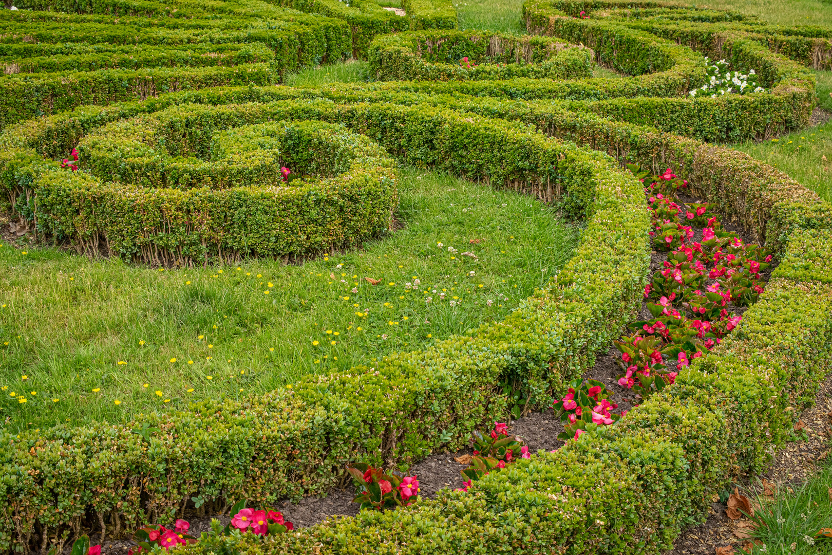 Großer Garten IX - Hannover-Herrenhausen