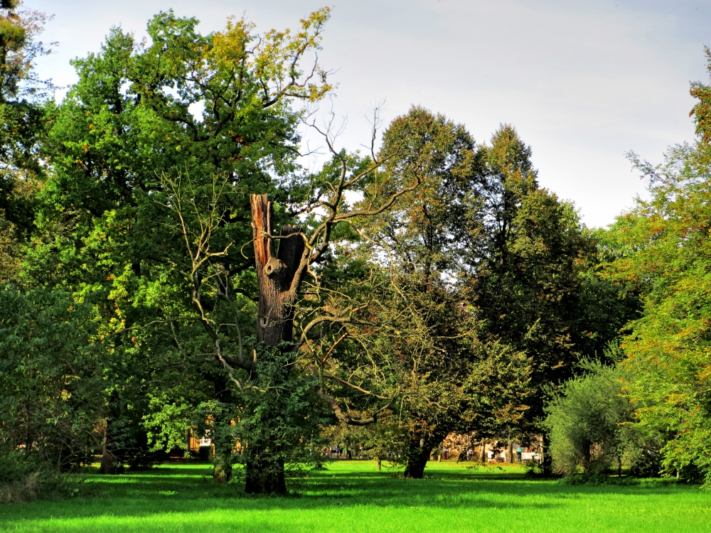 Großer Garten - mittendrin!