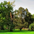 Großer Garten - mittendrin!