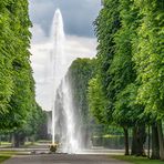 Großer Garten XIV - Hannover-Herrenhausen