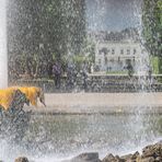 Großer Garten XV - Hannover-Herrenhausen