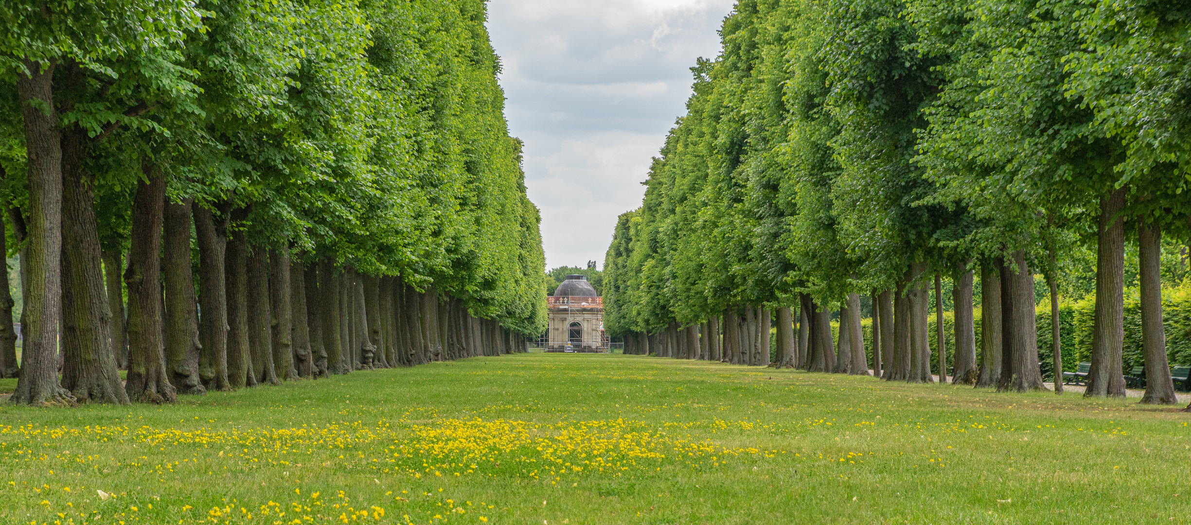 Großer Garten XVIII - Hannover-Herrenhausen