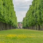 Großer Garten XVIII - Hannover-Herrenhausen