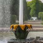 Großer Garten XXI - Hannover-Herrenhausen