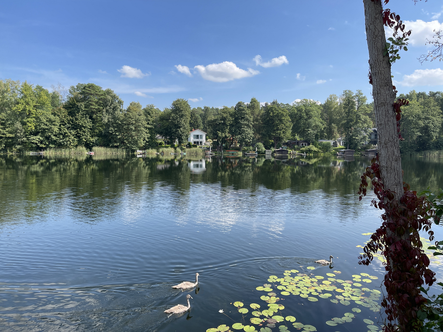 Großer Glubigsee, Wendisch Rietz