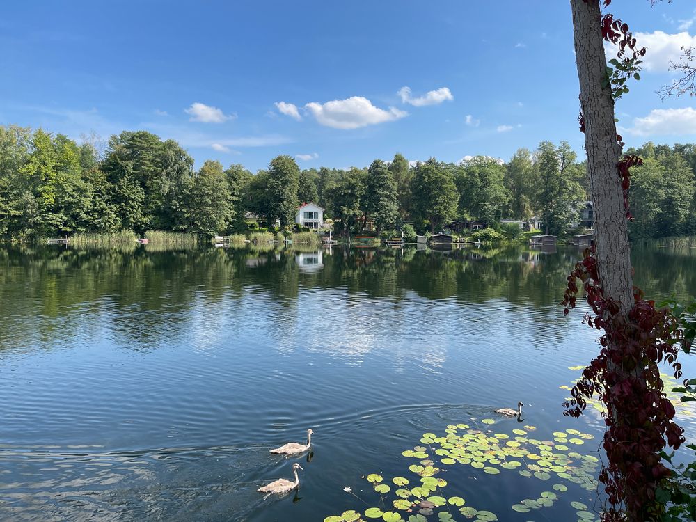 Großer Glubigsee, Wendisch Rietz Foto & Bild landschaft, bach, fluss