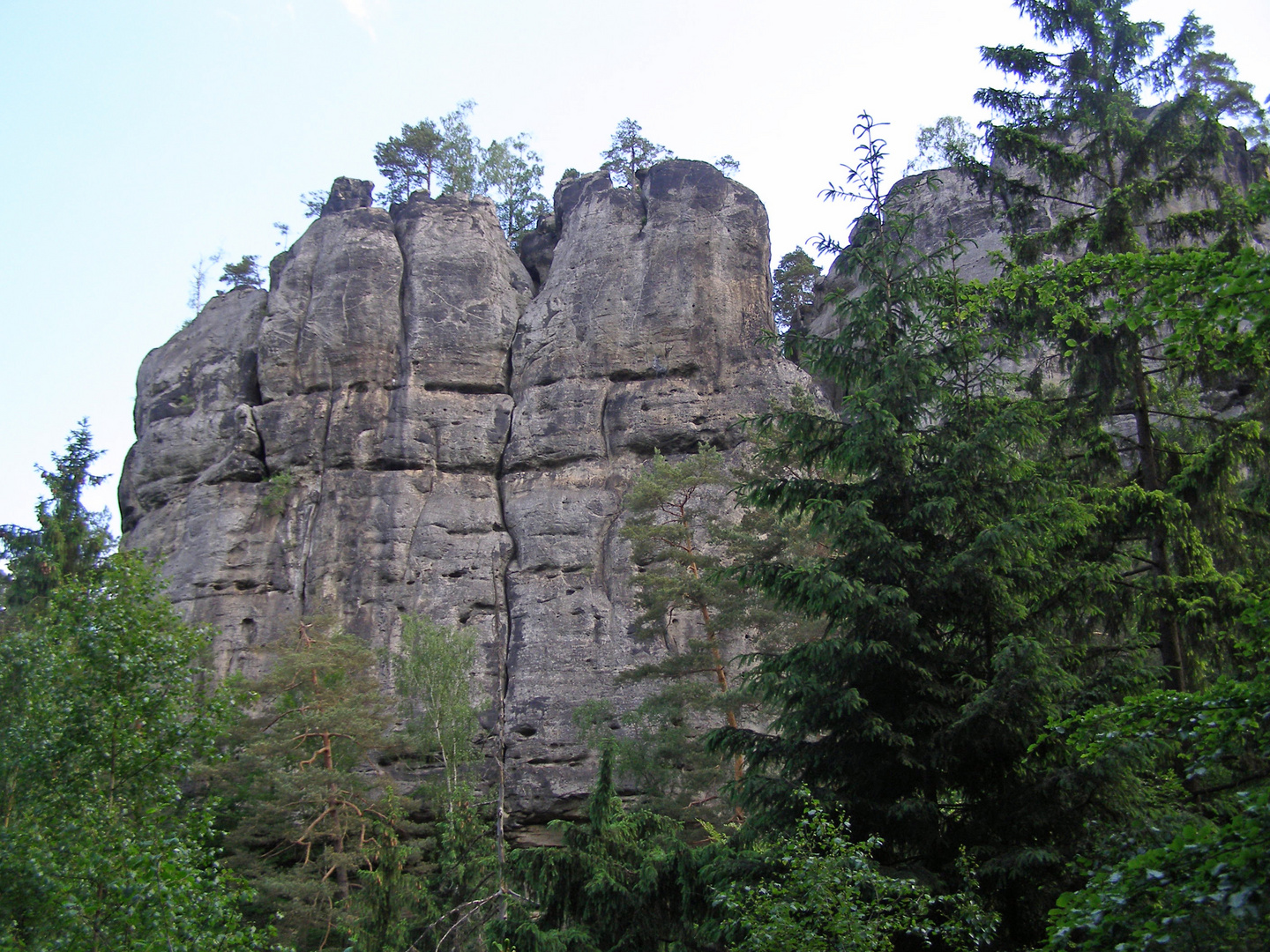 Großer Halber