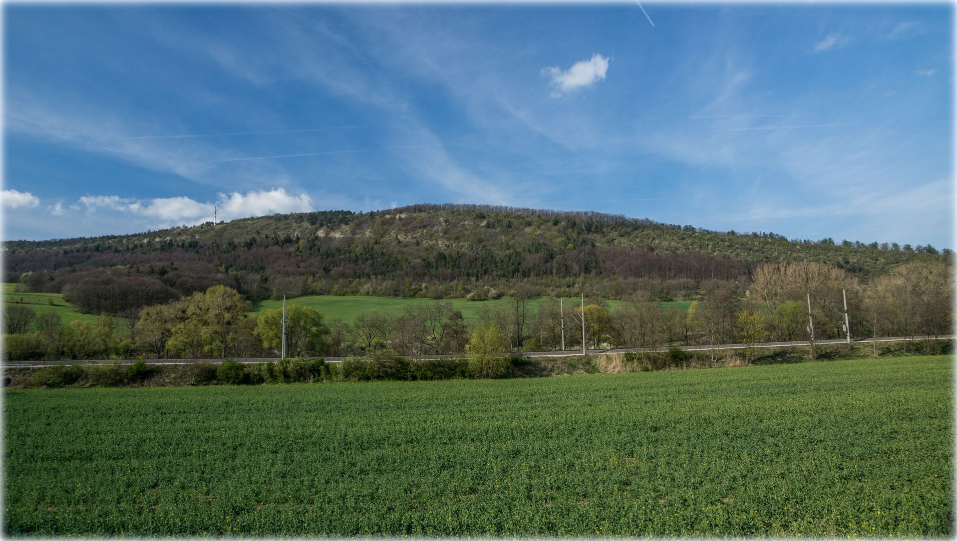 Großer Hörselberg