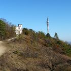 Großer Hörselsberg