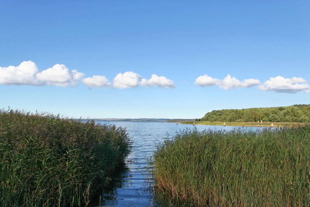 Großer Jasmunder Bodden