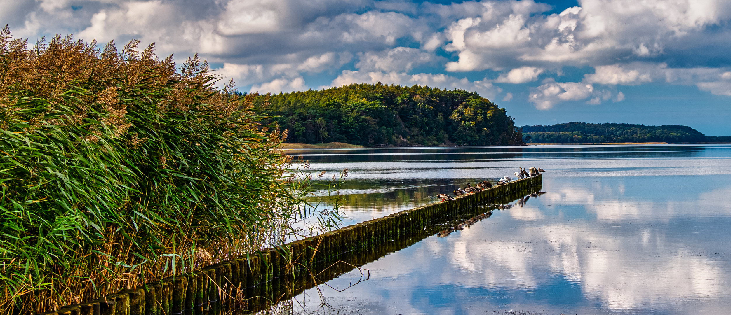 Großer Jasmunder Bodden Foto & Bild deutschland, europe, mecklenburg